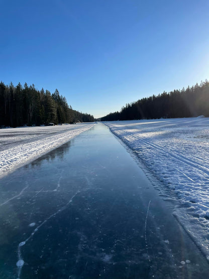 Zandstra Turskøyte Nordic Høy 4562 med Sko NNN binding