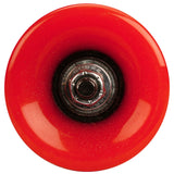 Longboard 36" Pintail Tropical Funk