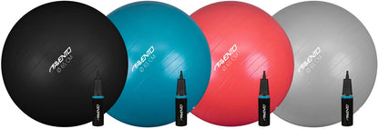 Trening / Gym Ball Ø 65 cm inkl. Pumpe