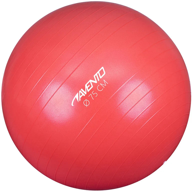 Trening / Gym Ball Ø 75 cm