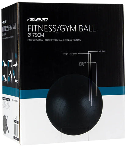 Trening / Gym Ball Ø 75 cm