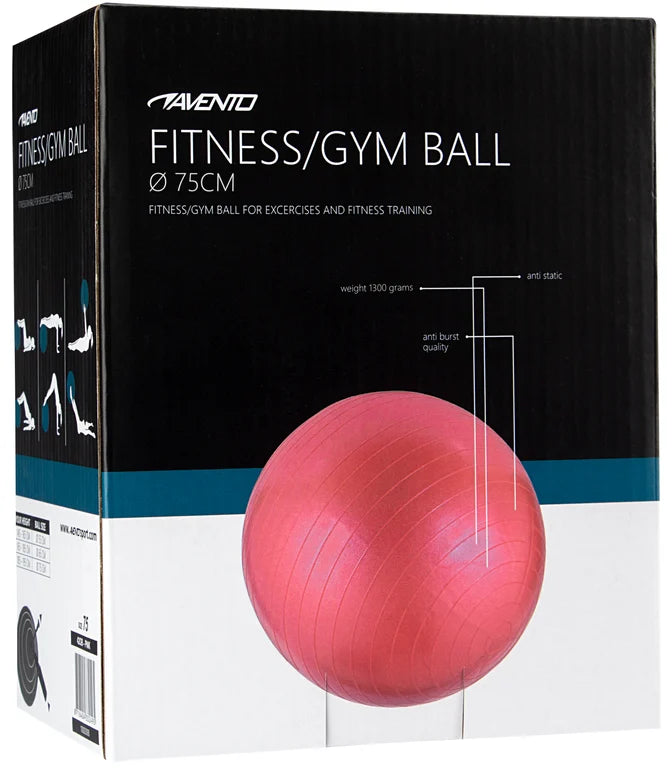 Trening / Gym Ball Ø 75 cm