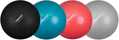 Trening / Gym Ball Ø 65 cm