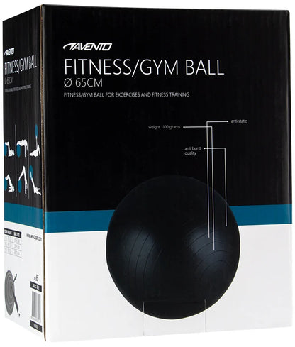 Trening / Gym Ball Ø 65 cm