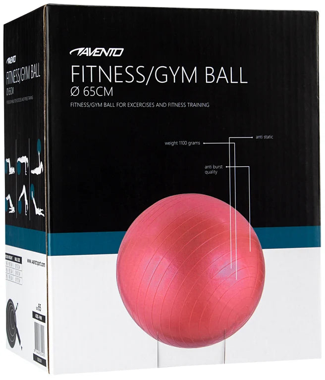 Trening / Gym Ball Ø 65 cm