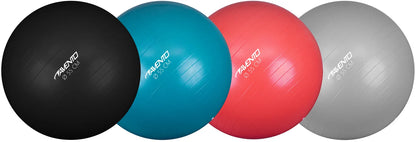 Trening / Gym Ball Ø 55 cm