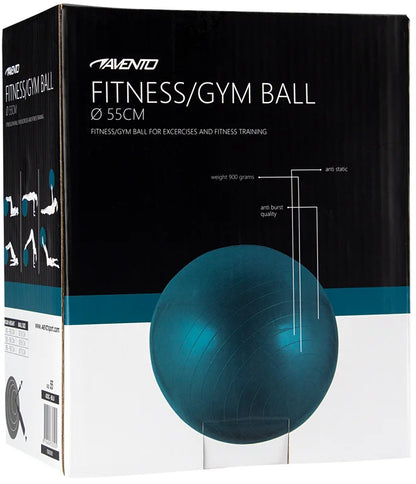 Trening / Gym Ball Ø 55 cm