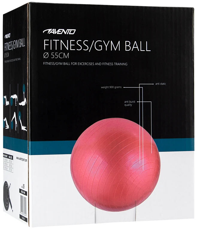 Trening / Gym Ball Ø 55 cm